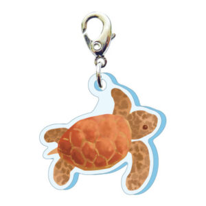 スリーシーエムチャーム（マリン編）ウミガメ