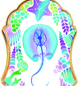 透明標本コレクトキーホルダー　エイ