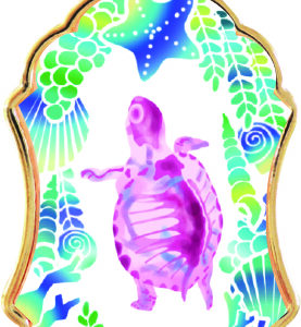 透明標本コレクトキーホルダー　カメ