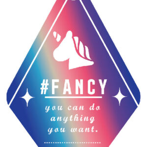 ５つ繋げて星の形に❣　おそろいで映える　ときめくグラデーション　ピタタグ　キーチェーン　FANCY